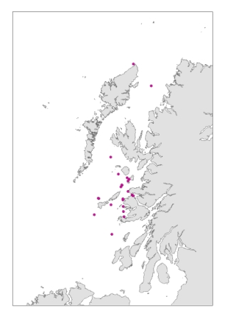 Visual sightings of sunfish from Silurian, 2003-2010